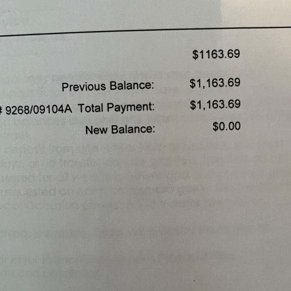 Wedding Dress - Picture 4 of 4